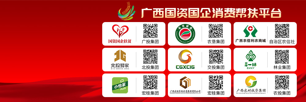 广西国企消费帮扶平台门户海报
