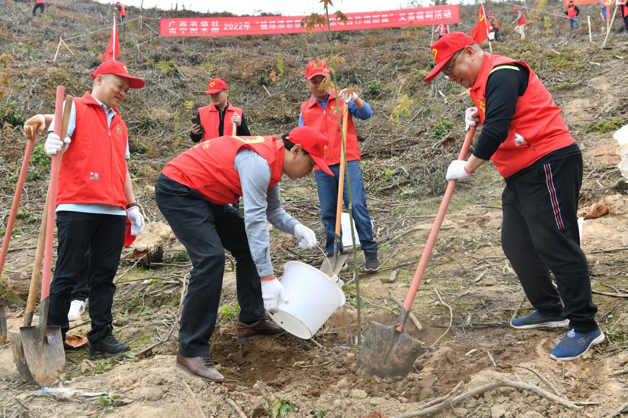 阳春三月，草长莺飞，在中国第44个“植树节”到来之际，为了践行绿色发展理念，为“双碳”目标充值，广西农信的党员和志愿者们，在桂西北山林间、在海岸滩涂边，在六堡茶山上、在大桂山的春土里栽种美好，聆听春天。

